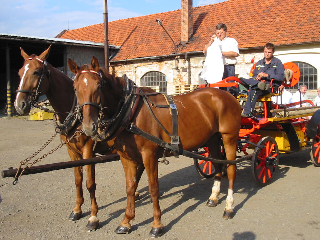 127-2701_IMG.JPG