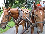 126-2674_IMG.JPG